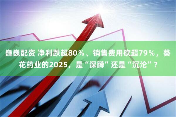巍巍配资 净利跌超80％、销售费用砍超79％，葵花药业的2025，是“深蹲”还是“沉沦”？