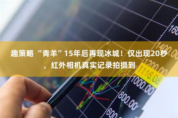 趣策略 “青羊”15年后再现冰城！仅出现20秒，红外相机真实记录拍摄到