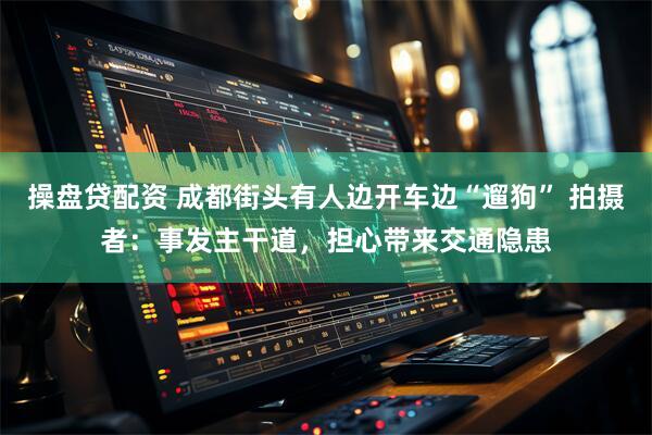 操盘贷配资 成都街头有人边开车边“遛狗” 拍摄者：事发主干道，担心带来交通隐患