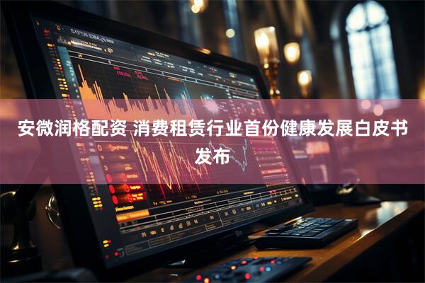 安微润格配资 消费租赁行业首份健康发展白皮书发布