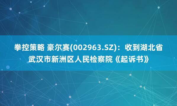 拳控策略 豪尔赛(002963.SZ)：收到湖北省武汉市新洲区人民检察院《起诉书》